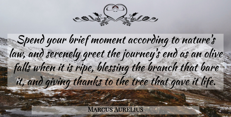 Marcus Aurelius Quote About Life, Fall, Journey: Spend Your Brief Moment According...