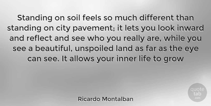 Ricardo Montalban Quote About Beautiful, Eye, Land: Standing On Soil Feels So...