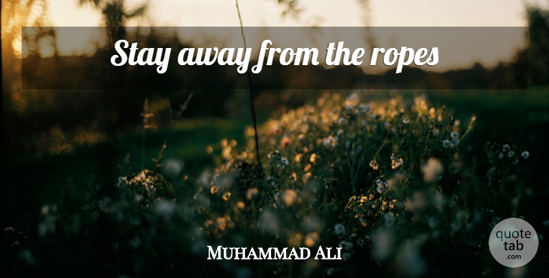 Muhammad Ali Quote About Rope: Stay Away From The Ropes...