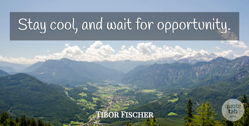 Tibor Fischer Quote About Opportunity, Waiting, Stay Cool: Stay Cool And Wait For...