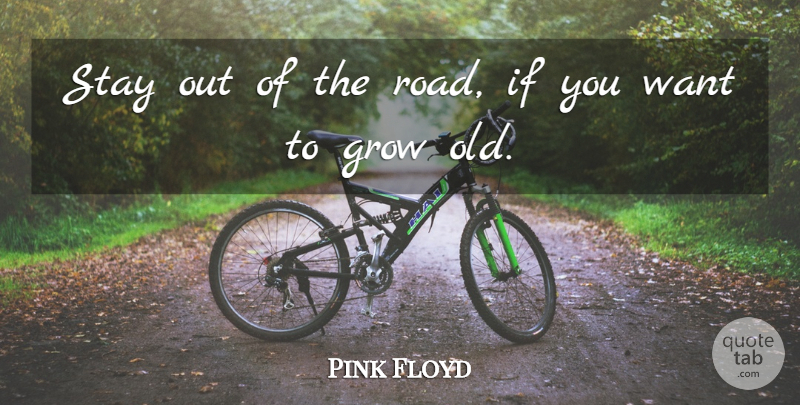 Pink Floyd Quote About Danger, Grow, Stay: Stay Out Of The Road...