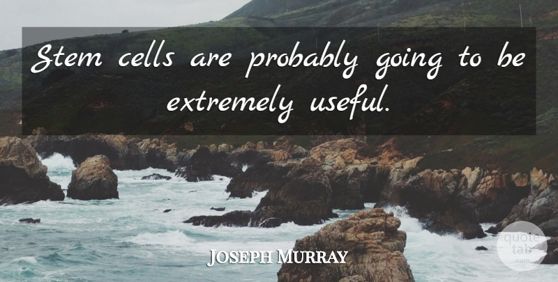Joseph Murray Quote About Extremely: Stem Cells Are Probably Going...