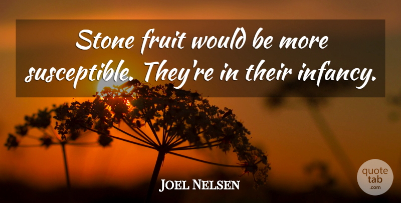 Joel Nelsen Quote About Fruit, Stone: Stone Fruit Would Be More...