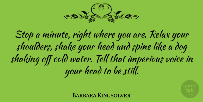 Barbara Kingsolver Quote About Dog, Voice, Water: Stop A Minute Right Where...