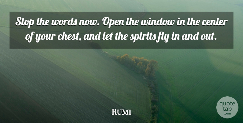 Rumi Quote About Spirit, Window, Driftwood: Stop The Words Now Open...