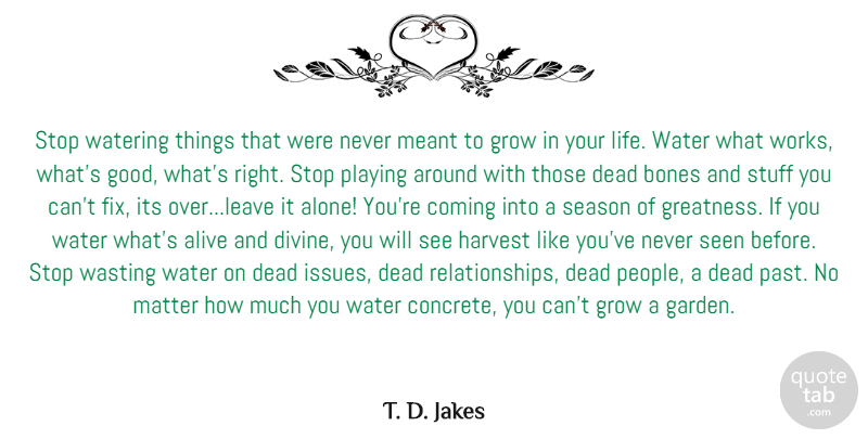 T. D. Jakes Quote About Past, Greatness, Garden: Stop Watering Things That Were...