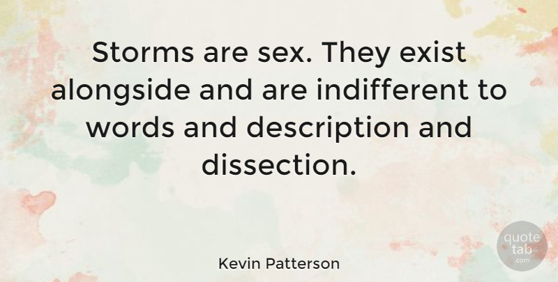 Kevin Patterson Quote About Alongside, Exist: Storms Are Sex They Exist...