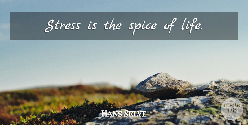 Hans Selye Quote About Stress, Spices, Spice Of Life: Stress Is The Spice Of...