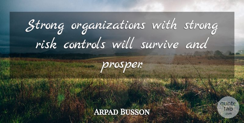 Arpad Busson Quote About Controls: Strong Organizations With Strong Risk...