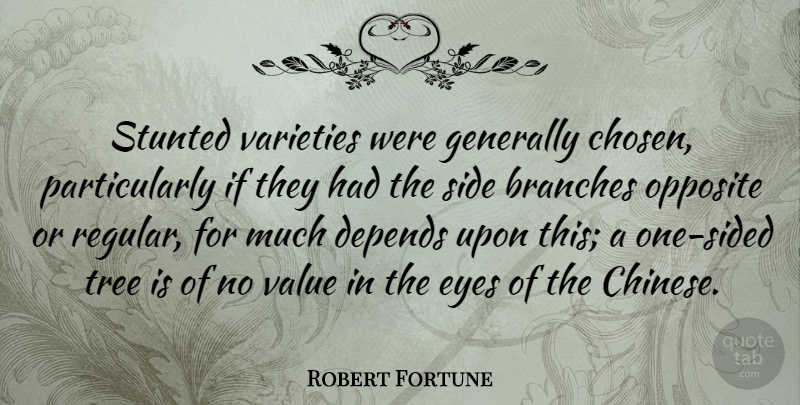 Robert Fortune Quote About Eye, Opposites, Tree: Stunted Varieties Were Generally Chosen...