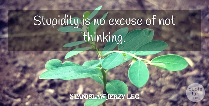 Stanislaw Jerzy Lec Quote About Writing, Thinking, Stupidity: Stupidity Is No Excuse Of...