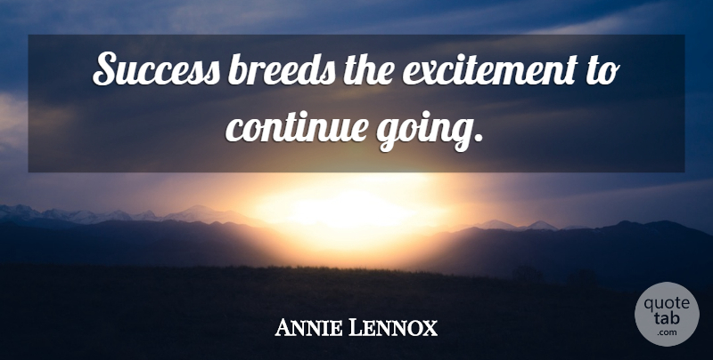 Annie Lennox Quote About Excitement: Success Breeds The Excitement To...