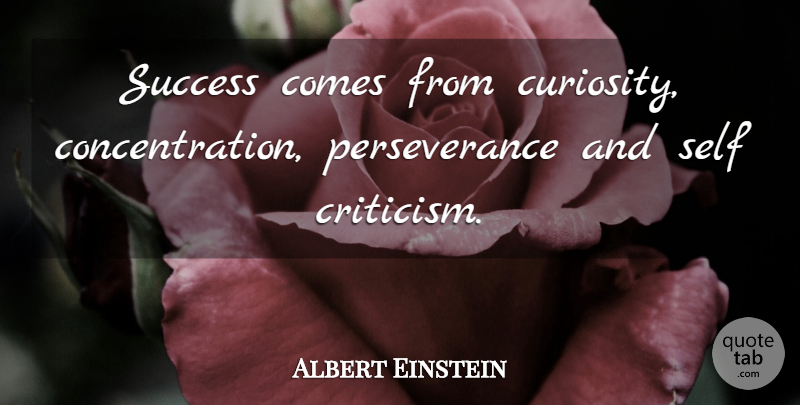 Albert Einstein Quote About Perseverance, Self, Curiosity: Success Comes From Curiosity Concentration...