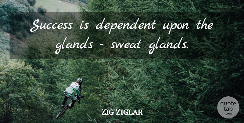 Zig Ziglar Quote About Motivational, Success, Congratulations: Success Is Dependent Upon The...