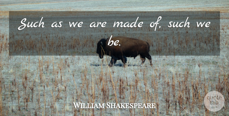 William Shakespeare Quote About Love, Love You, Destiny: Such As We Are Made...