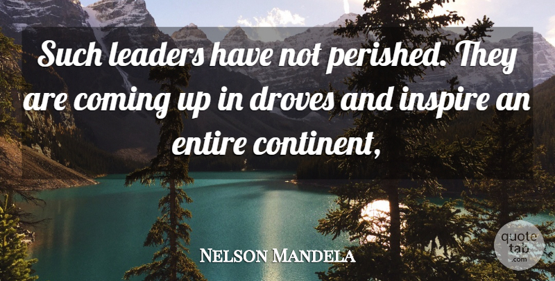 Nelson Mandela Quote About Coming, Entire, Inspire, Leaders, Leaders And Leadership: Such Leaders Have Not Perished...