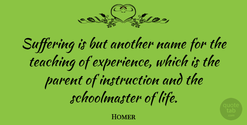 Homer Quote About Depression, Teaching, Names: Suffering Is But Another Name...