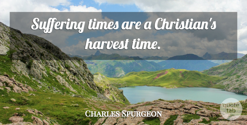 Charles Spurgeon Quote About Christian, Harvest Time, Suffering: Suffering Times Are A Christians...