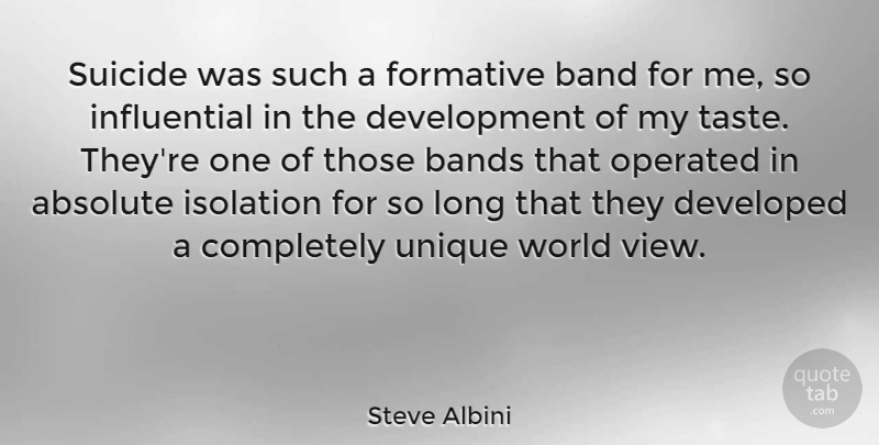 Steve Albini Quote About Suicide, Unique, Views: Suicide Was Such A Formative...