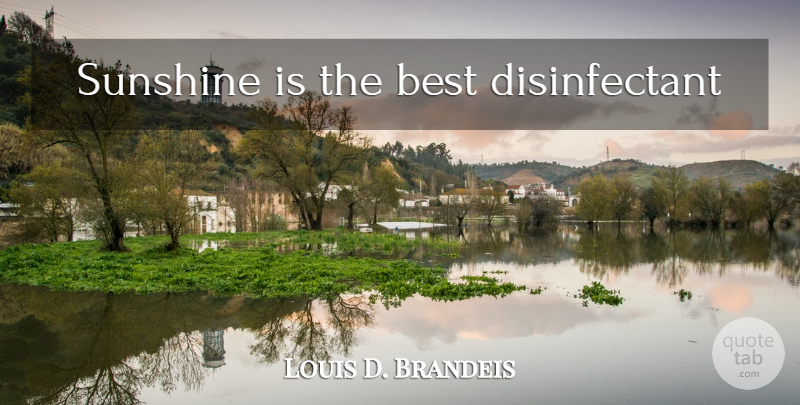 Louis D. Brandeis Quote About Sunshine: Sunshine Is The Best Disinfectant...