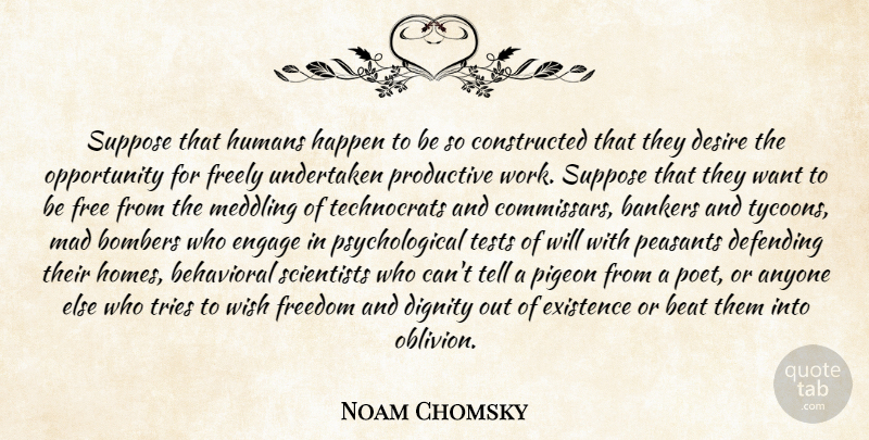 Noam Chomsky Quote About Home, Opportunity, Productive Work: Suppose That Humans Happen To...