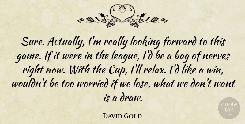 David Gold Quote About Bag, Forward, Looking, Nerves, Worried: Sure Actually Im Really Looking...