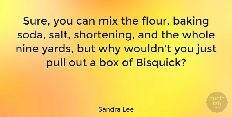 Sandra Lee Quote About Baking Soda, Nine, Salt: Sure You Can Mix The...