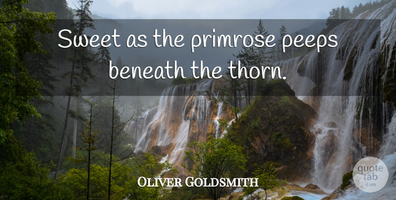 Oliver Goldsmith Quote About Beneath, Sweet: Sweet As The Primrose Peeps...