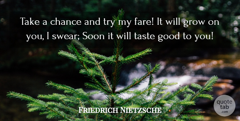 Friedrich Nietzsche Quote About Trying, Taste, Chance: Take A Chance And Try...