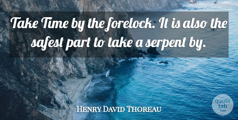Henry David Thoreau Quote About Action, Take Time, Serpent: Take Time By The Forelock...
