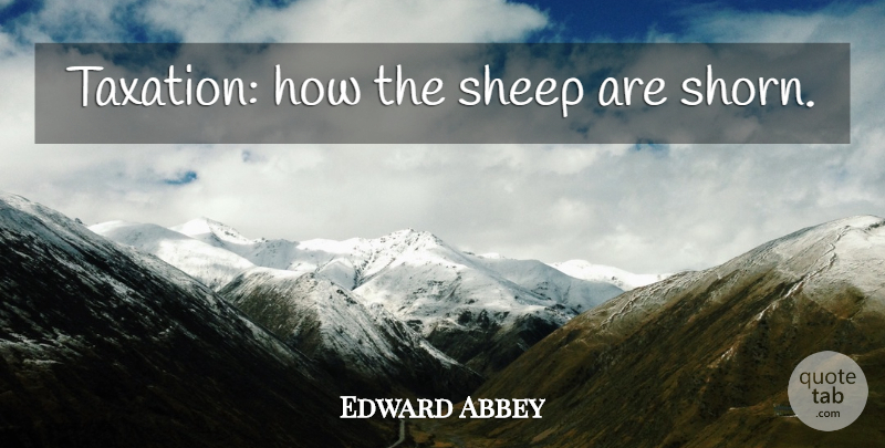 Edward Abbey Quote About Sheep, Taxation, Taxes: Taxation How The Sheep Are...