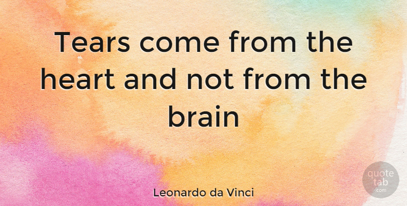 Leonardo da Vinci Quote About Sad, Heart, Brain: Tears Come From The Heart...
