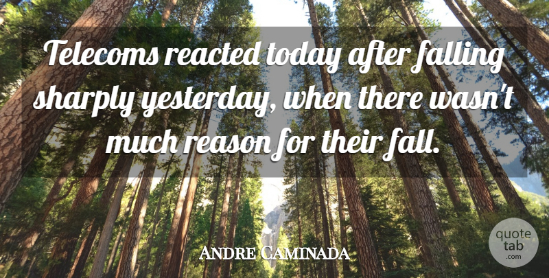 Andre Caminada Quote About Falling, Reason, Today: Telecoms Reacted Today After Falling...