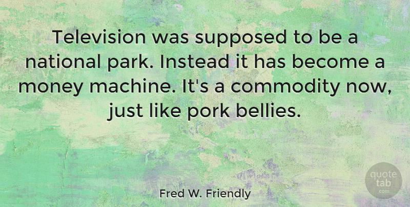 Fred W. Friendly Quote About Commodity, Instead, Money, National, Pork: Television Was Supposed To Be...