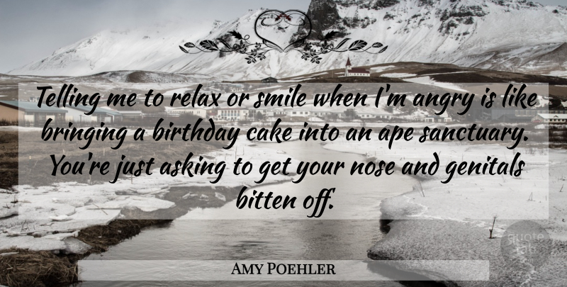 Amy Poehler Quote About Cake, Relax, Noses: Telling Me To Relax Or...