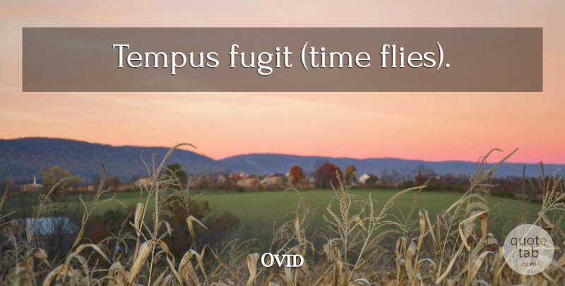Ovid Quote About Time, Time Flies: Tempus Fugit Time Flies...