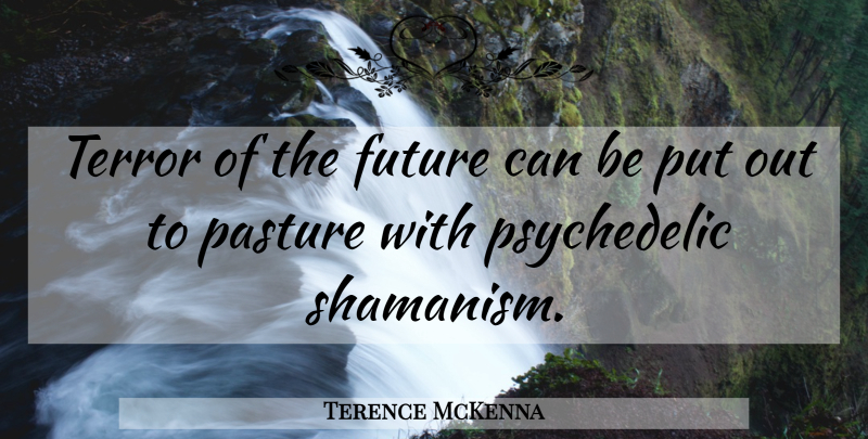 Terence McKenna Quote About Psychedelic, Shamanism, Terror: Terror Of The Future Can...