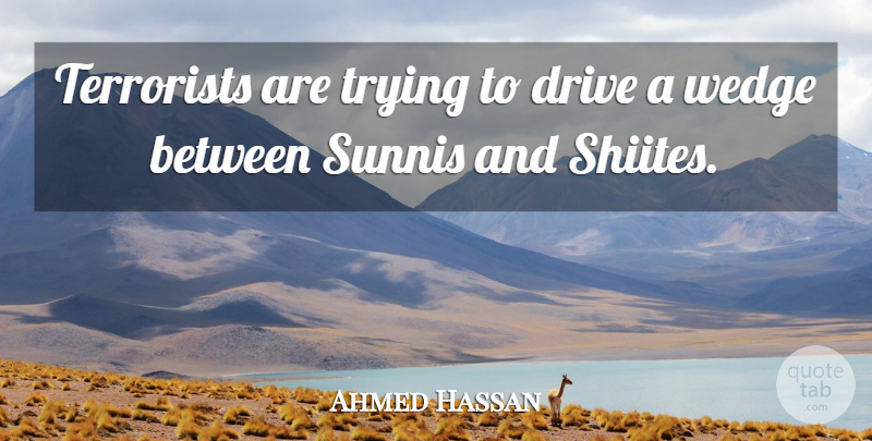 Ahmed Hassan Quote About Drive, Terrorists, Trying: Terrorists Are Trying To Drive...