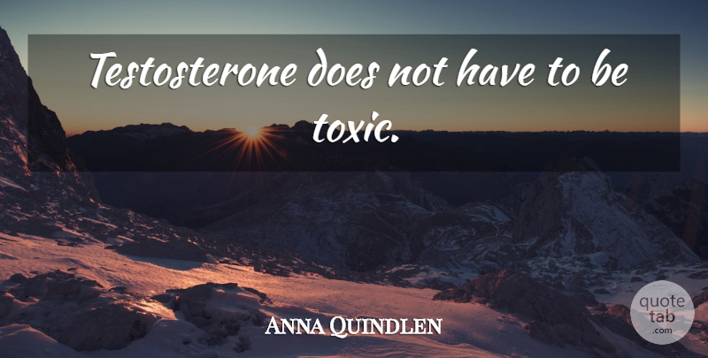 Anna Quindlen Quote About Men, Toxic, Doe: Testosterone Does Not Have To...