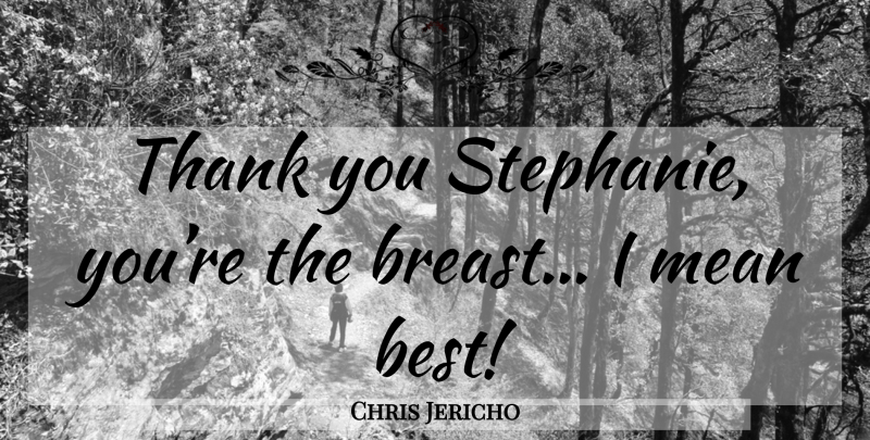 Chris Jericho Quote About Mean, Breasts: Thank You Stephanie Youre The...
