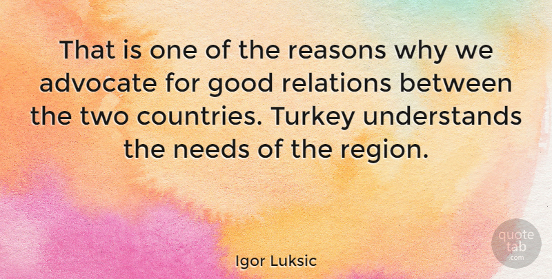 Igor Luksic Quote About Good, Needs, Relations, Turkey: That Is One Of The...