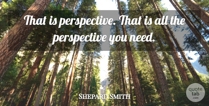 Shepard Smith Quote About Perspective: That Is Perspective That Is...