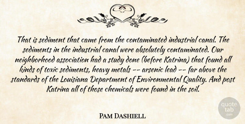Pam Dashiell Quote About Above, Absolutely, Came, Canal, Chemicals: That Is Sediment That Came...