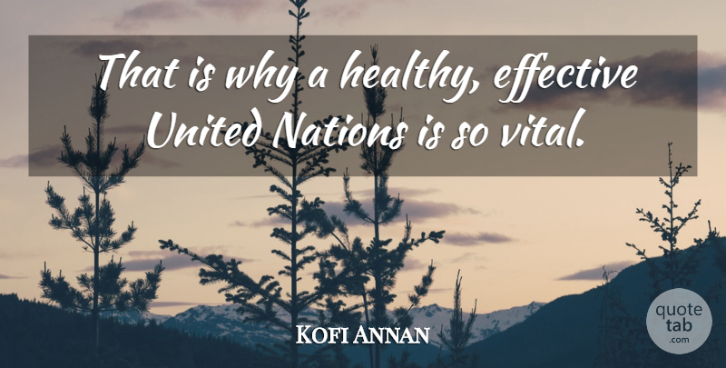 Kofi Annan Quote About Effective, Nations, United: That Is Why A Healthy...