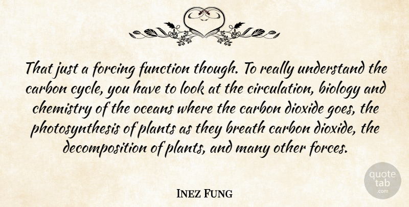 Inez Fung Quote About Biology, Breath, Carbon, Chemistry, Forcing: That Just A Forcing Function...
