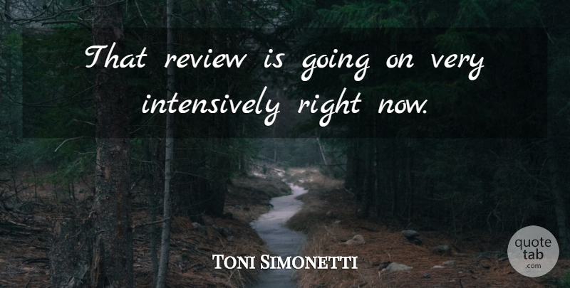 Toni Simonetti Quote About Review: That Review Is Going On...