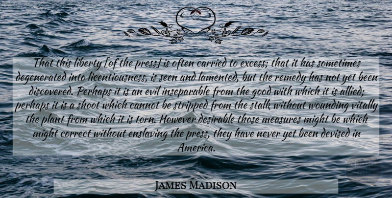 James Madison Quote About America, Evil, Liberty: That This Liberty Of The...