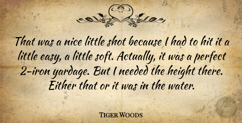 Tiger Woods Quote About Either, Height, Hit, Needed, Nice: That Was A Nice Little...