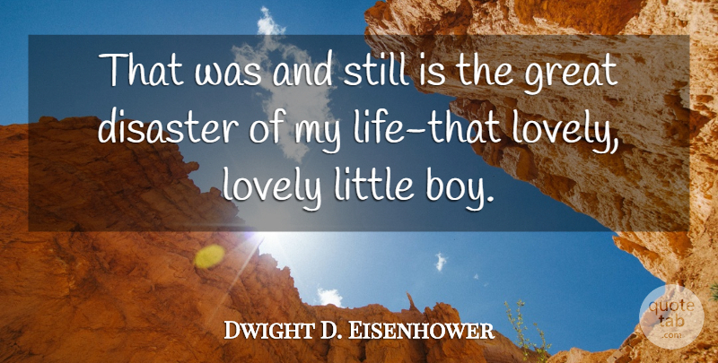Dwight D. Eisenhower Quote About Disaster, Great, Lovely: That Was And Still Is...