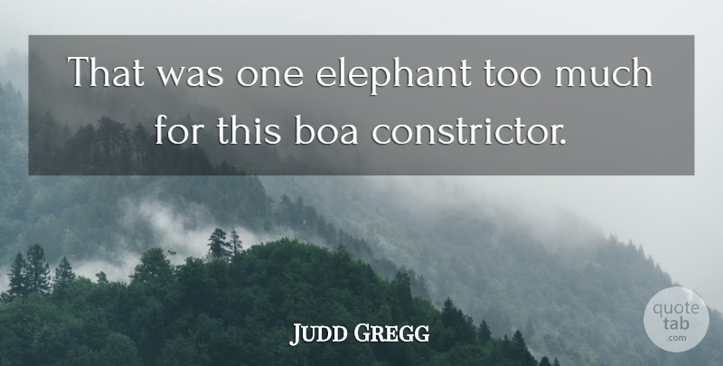 Judd Gregg Quote About Boa, Elephant: That Was One Elephant Too...